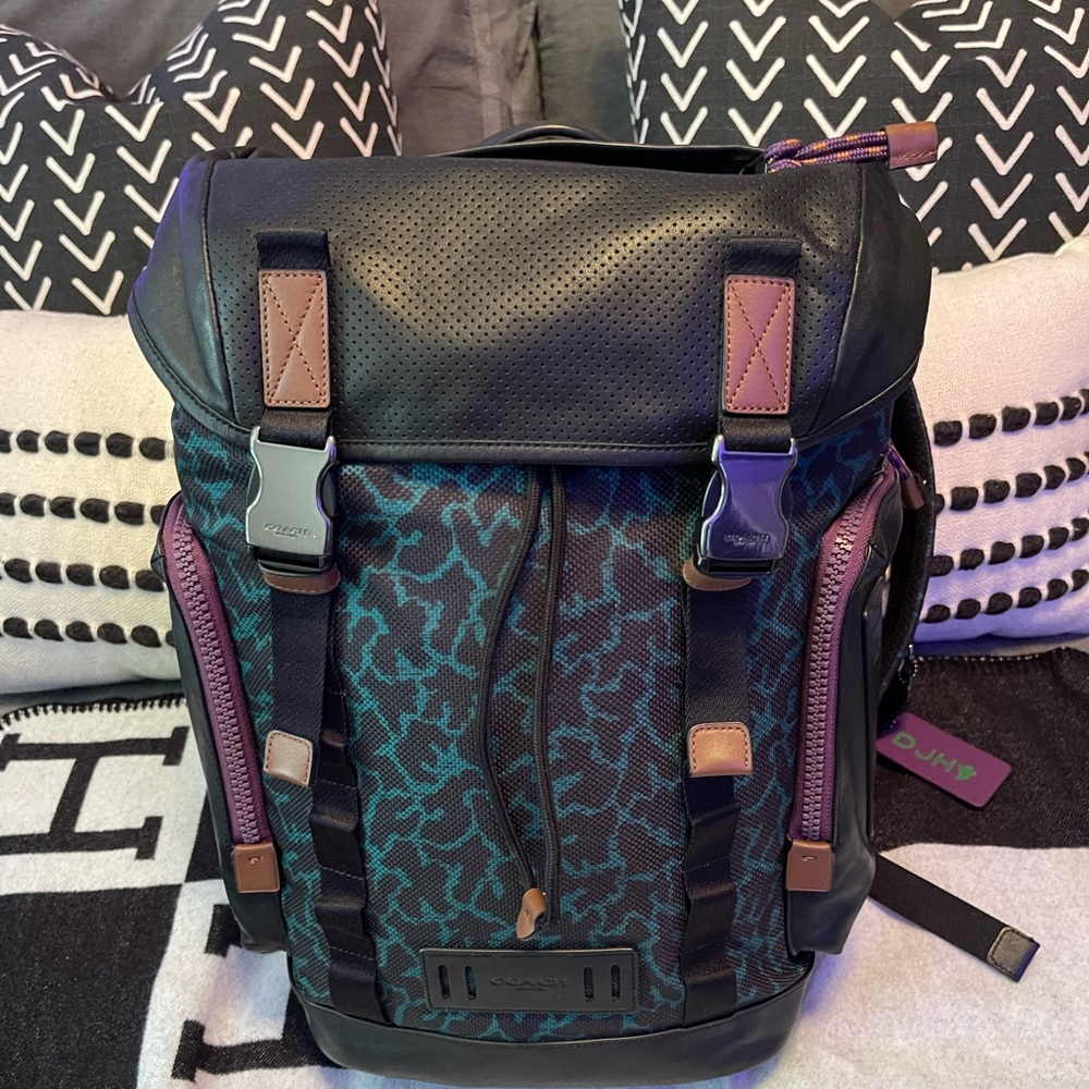 Coach X Disney Collection